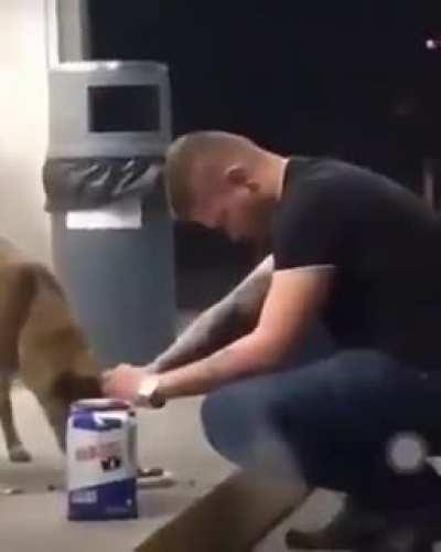 the dog kissing that who bought food for him.