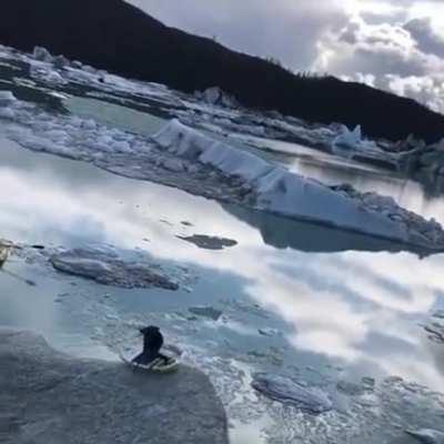 Riding the iceberg