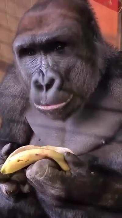 Eating a banana