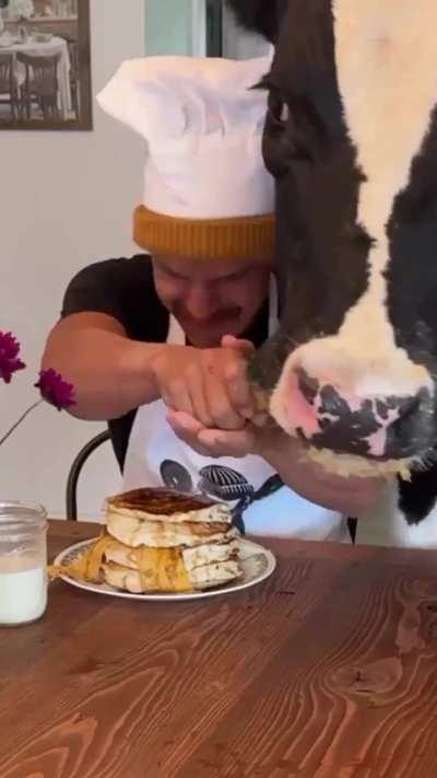 Cooking with a cow's help