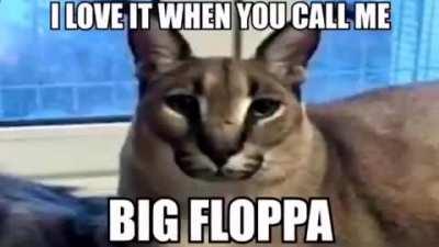 floppa dont flop a hoe