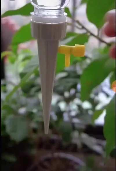 Automatic Watering Spike for Plants