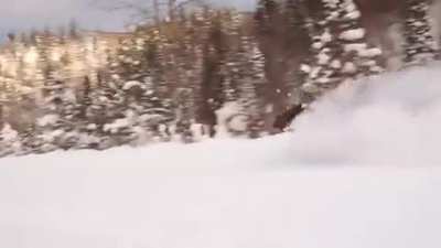 🔥 Moose running through deep snow 🔥