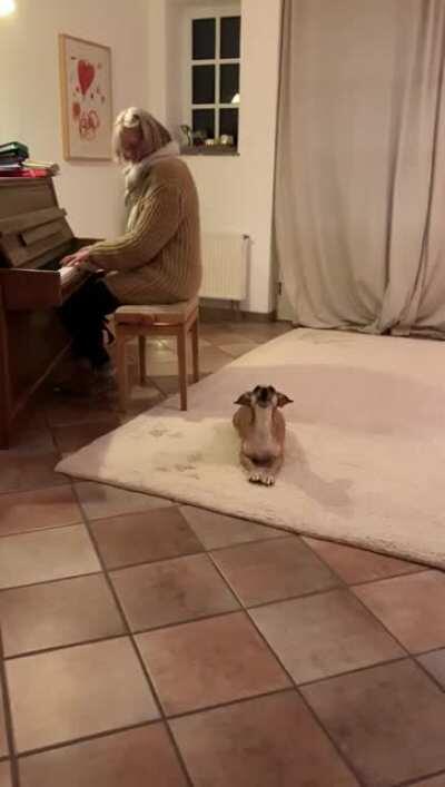 Dog harmonizes beautifully to the piano