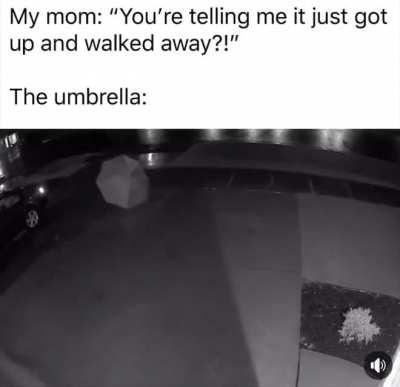 My Umbrella People Need Me