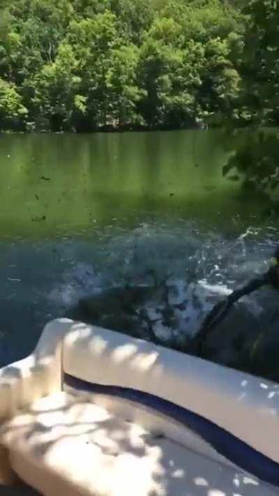 Swing from a tree WCGW