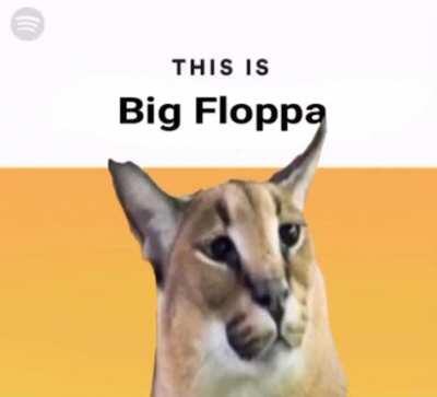 Floppa Spotify?!?!