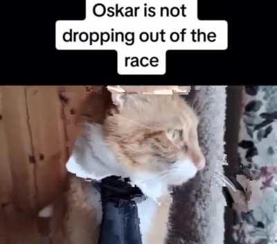 Oskar rule