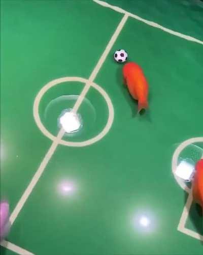 Fish can play soccer 