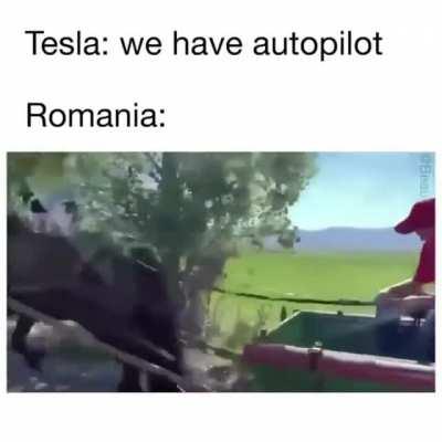 Cat vs autopilot