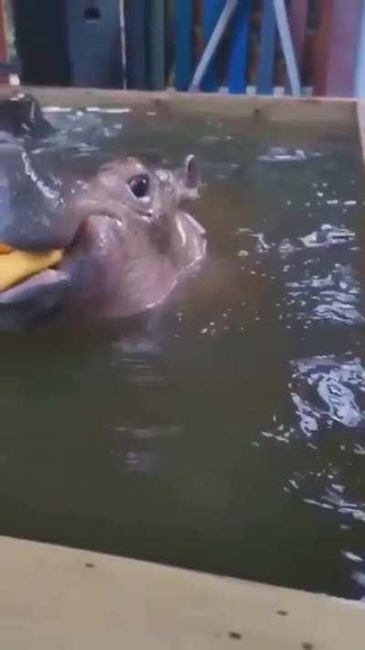 Swimming class