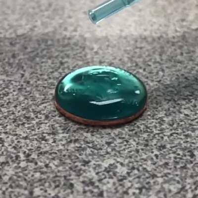 Demonstration of water's surface tension