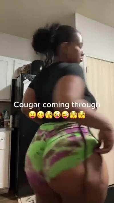 Thick Cougar