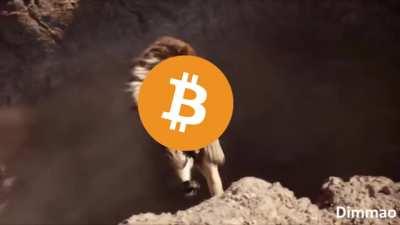 Bitcoin today