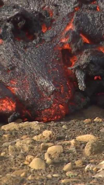 ð¥ lava flow destroys flowers