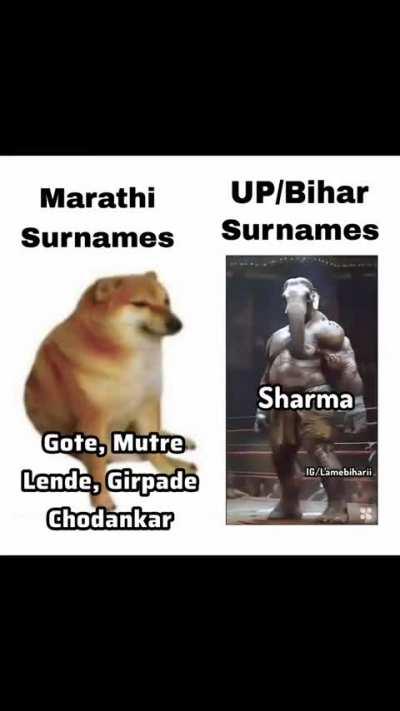 UP Biharis are obsessed with MH.