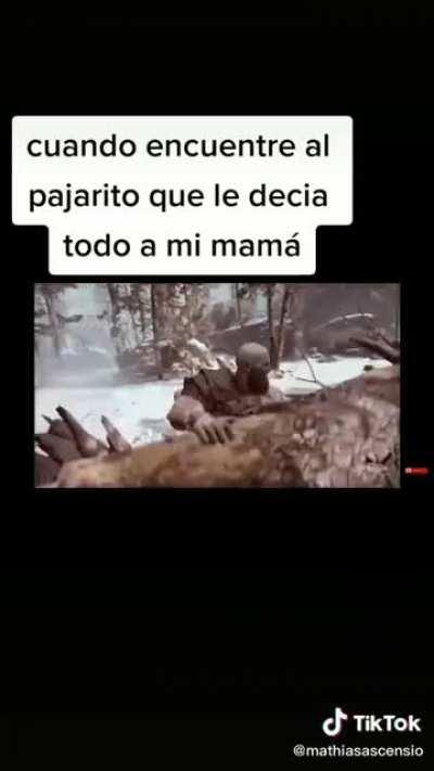 Muerte al pajarito 🤬🤬🤬