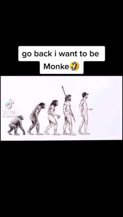 Monke 🐵🐵🐵🐵