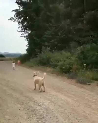 Sand tornado keeps forming