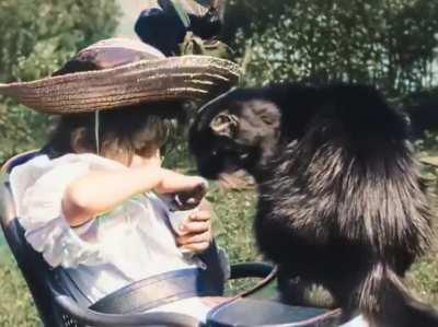 The world's first cat clip ever from 1889. &quot;Little girl and cat&quot;. Colorized and speed adjusted.