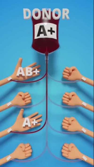 Blood Groups (Donor)