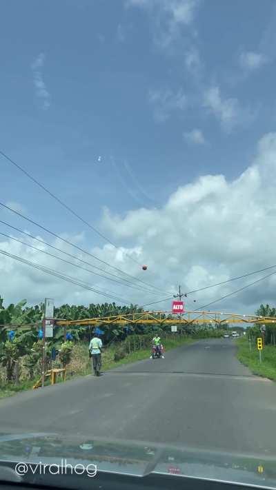 Bananas crossing the road in Costa Rica