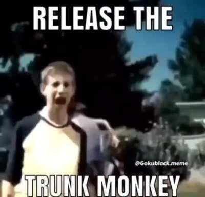 Its Monkey Time