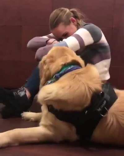 This is an emotional support dog practicing being there for their owner: