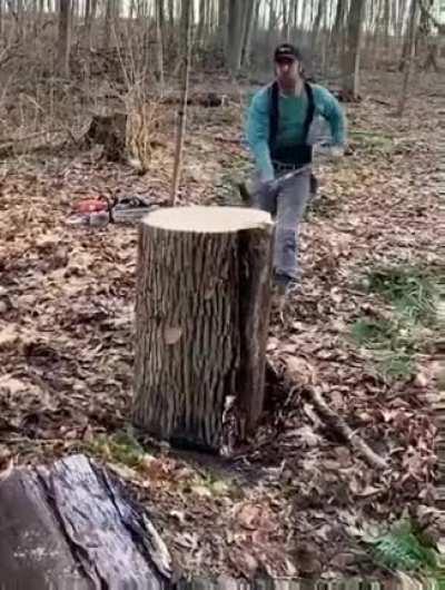 Showing impressive strength to split the log