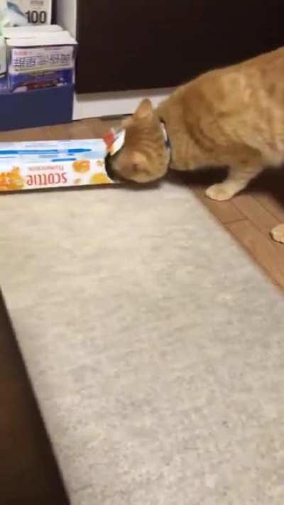 to get in the box