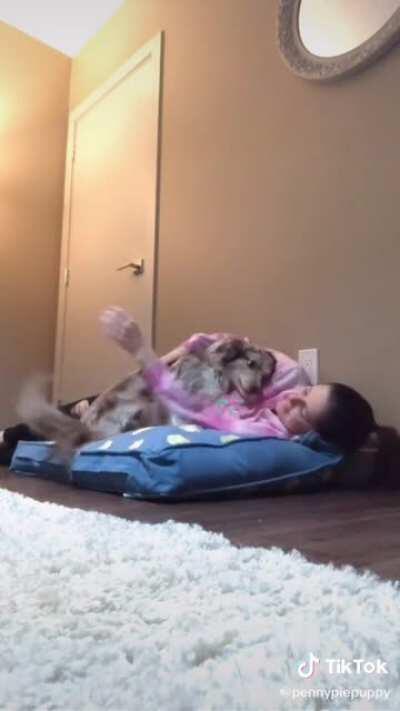 Lying down in your dogs bed with them