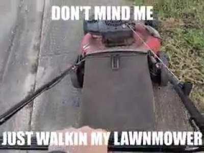 mower