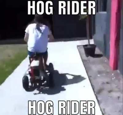 Guys! Hog rider from cock irl!!1!