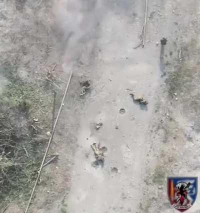 Ukrainian drone drops a charge on a group of 4 Russian infantrymen. 3 of them got wounded, the 4th one left them without any hesitation.
