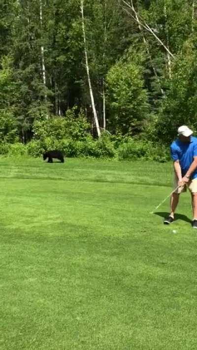 My stepdad won’t let that bear play through.