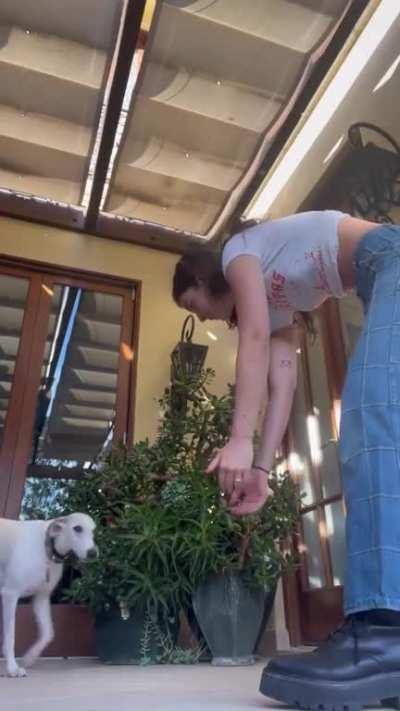 Gracie with a dog