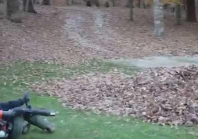 These kids hid in a leaf pile to scare their dad