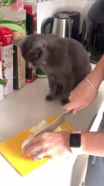 She Likes To Help With Everything (Except Onions)