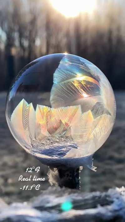 Frozen soap bubble