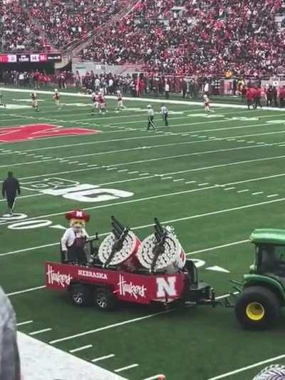 t-shirt cannons.