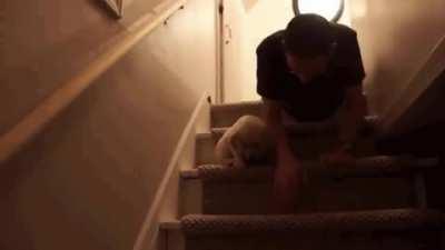 Stairs are scary... until daddy teaches you!