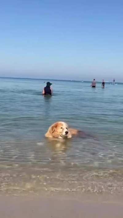 Master of the water sitting comfortably in his throne of ocean