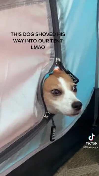 Tent peep