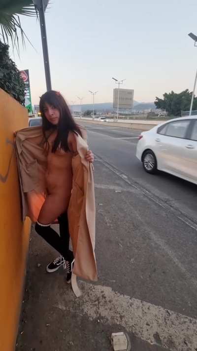 Roadside tits are the best tits