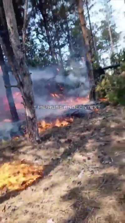 Russian self propelled howitzer burning as a result of forest fires caused by Ukrainian strikes