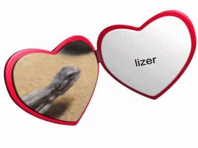 i love my lizer