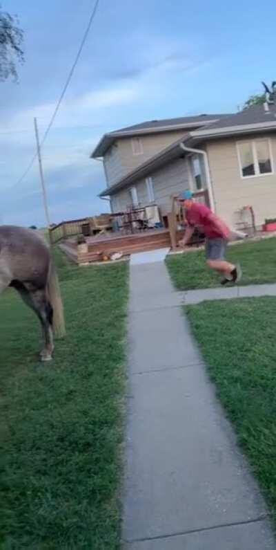 What could go wrong playing cowboy