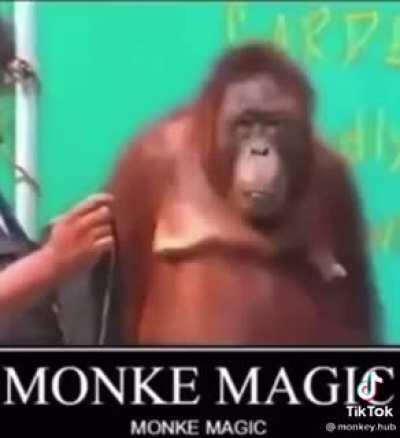 Monke magic