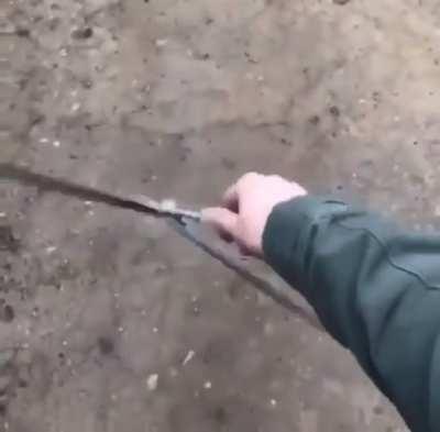 Butterfly sword