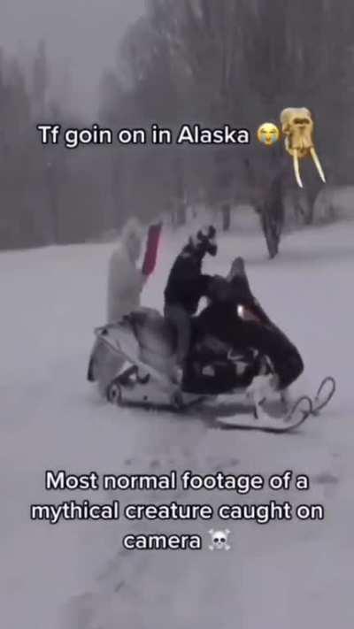 Most normal day in North Pole